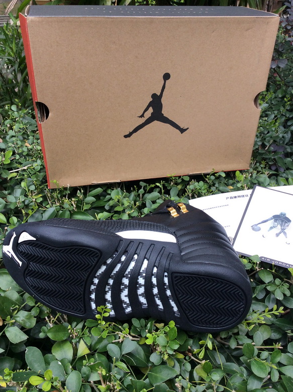 Air Jordan 12 Retro-070