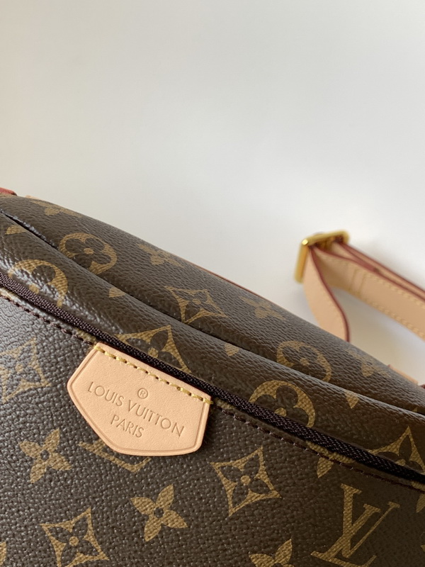 LV Small bags(AAA)-020