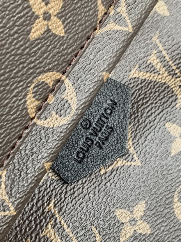 LV Backpack(AAA)-145