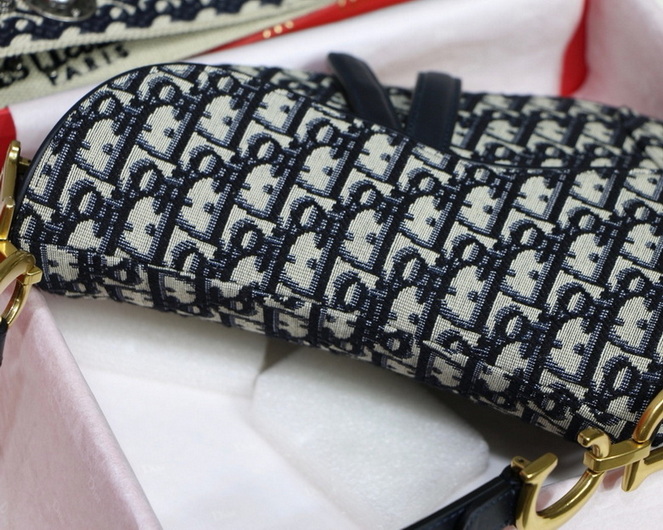 D*or handbags aaa(women)-198