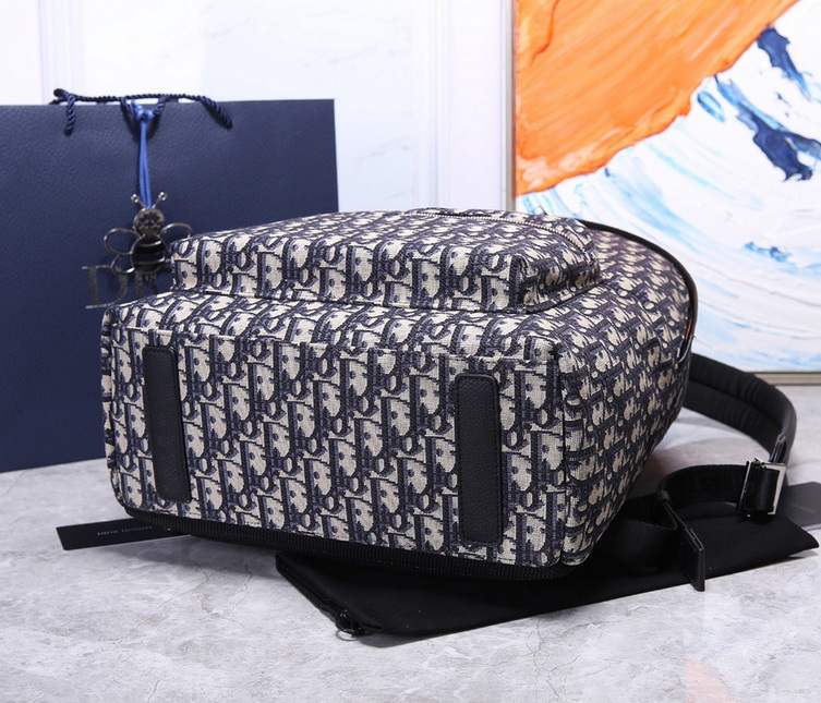 Dior Backpack(AAA)-019