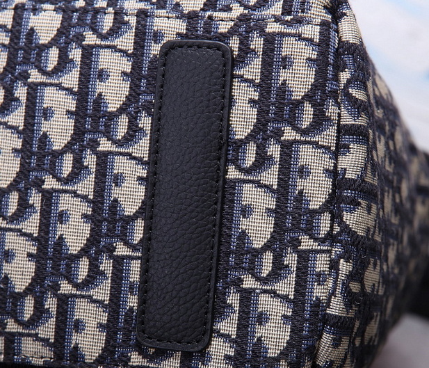 Dior Backpack(AAA)-019