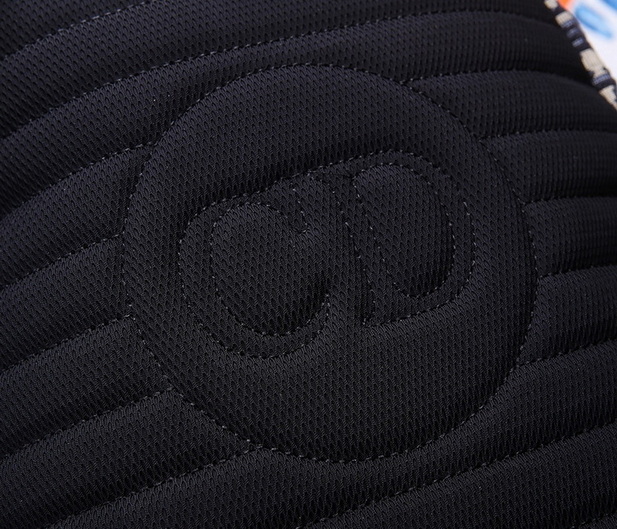 Dior Backpack(AAA)-019