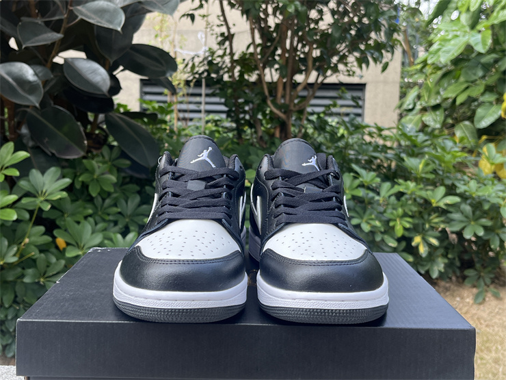 Air Jordan 1 Low-301
