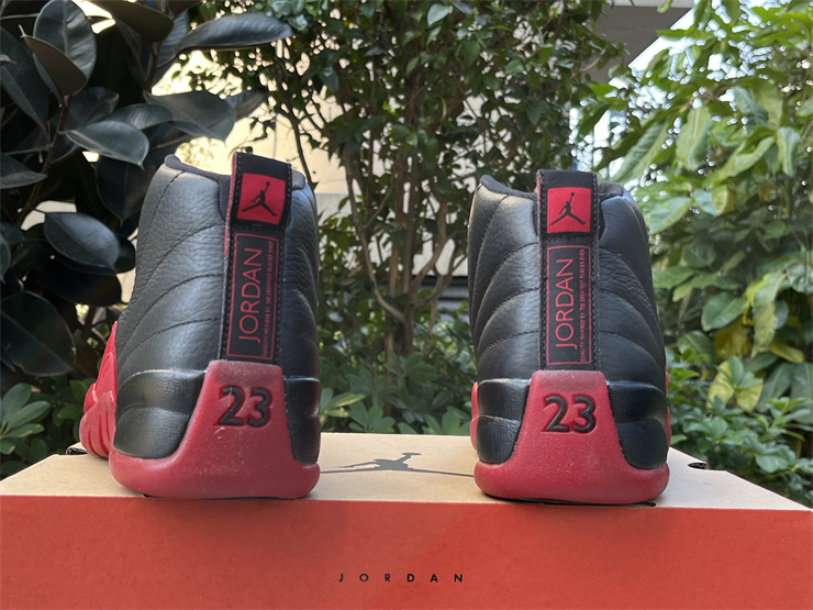 Air Jordan 12 Retro Flu Game