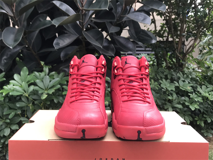 Air Jordan 12 Gym Red