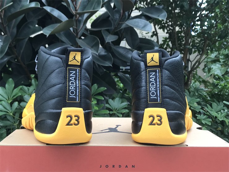 Air Jordan 12 University Gold