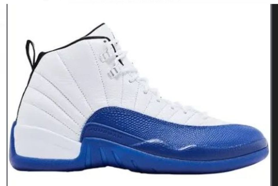 Air Jordan 12-100