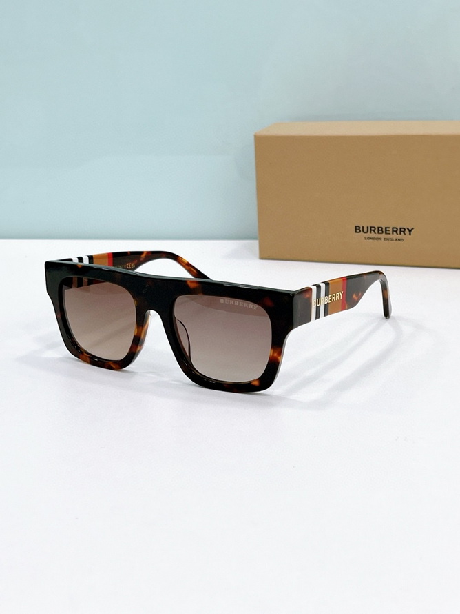 B**rry sunglasses(aaaa)-1157