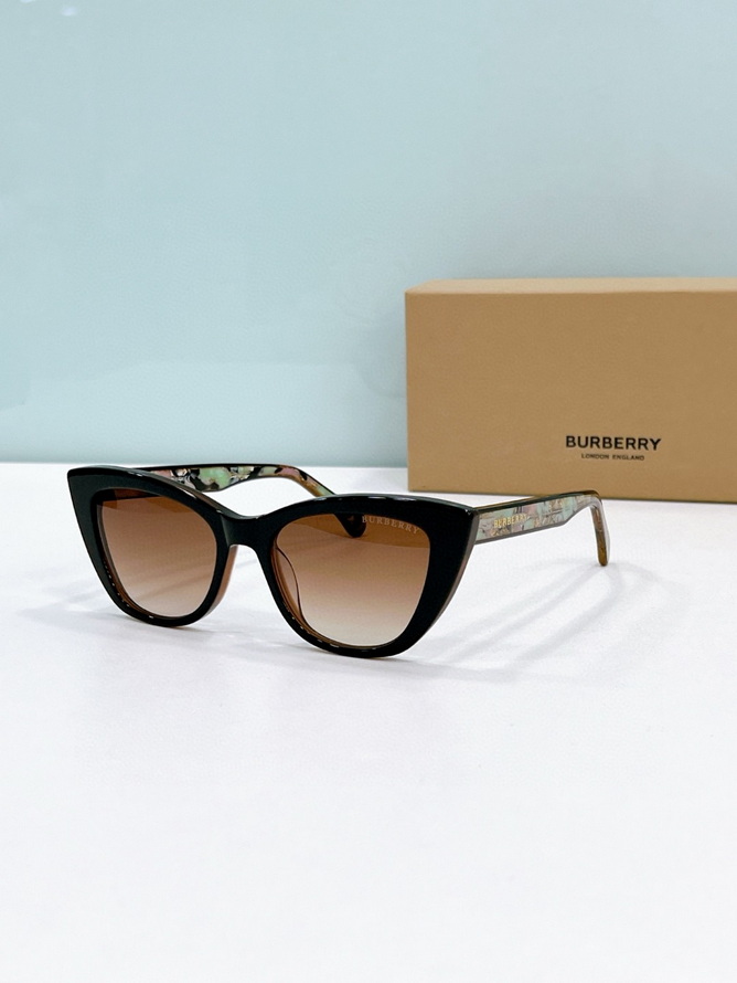 B**rry sunglasses(aaaa)-1150