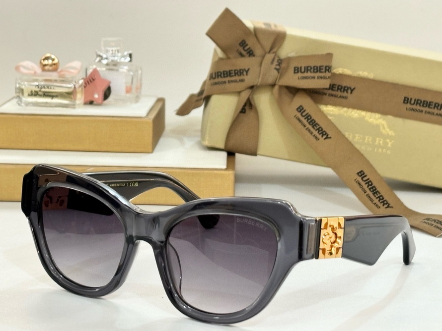 B**rry sunglasses(aaaa)-1140