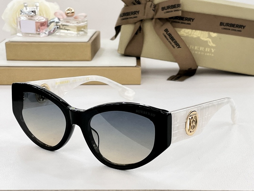 B**rry sunglasses(aaaa)-1133