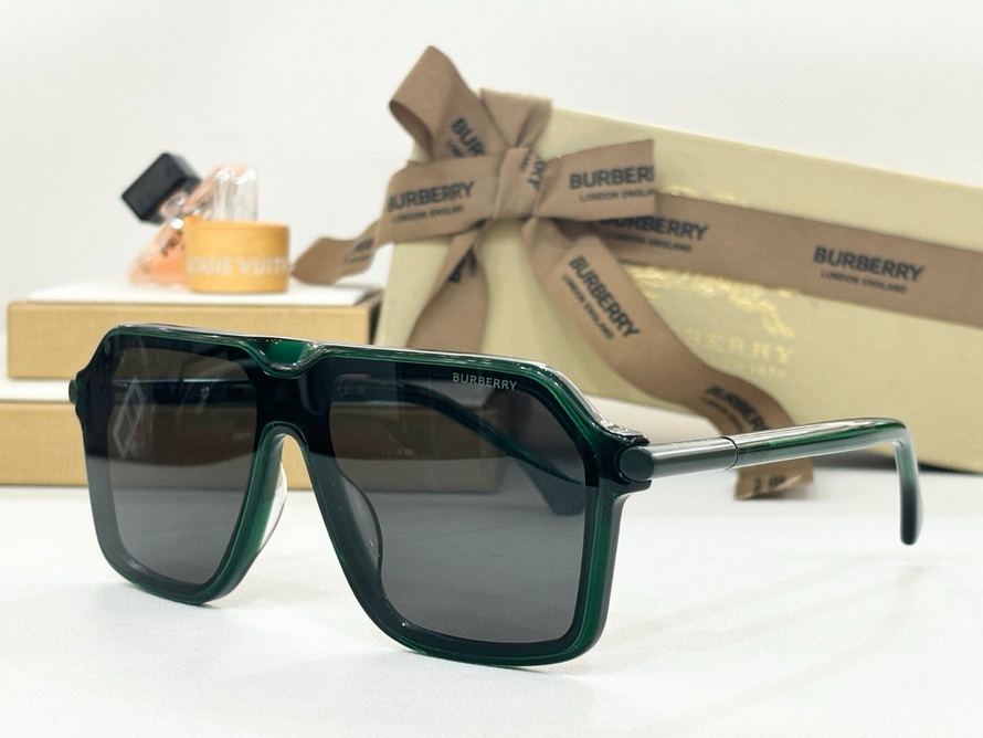 B**rry sunglasses(aaaa)-1131