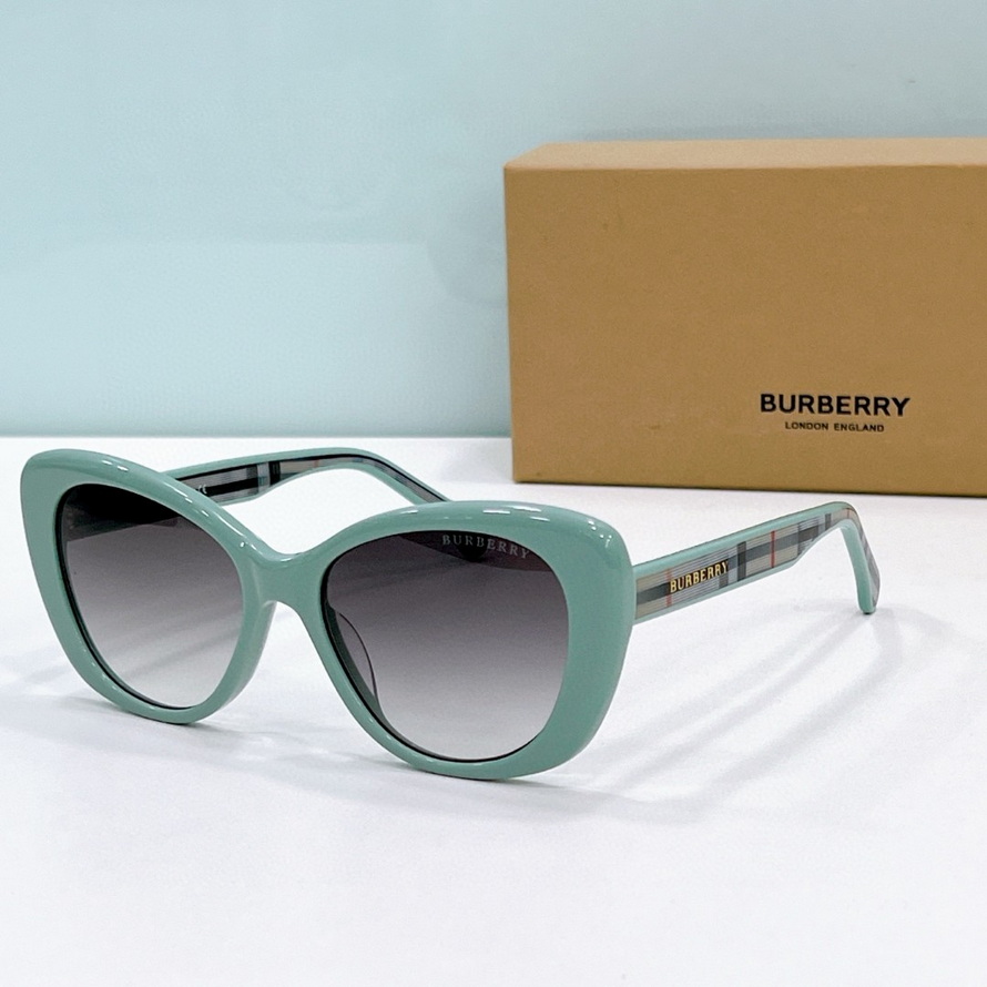 B**rry sunglasses(aaaa)-1061