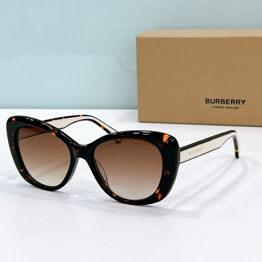 B**rry sunglasses(aaaa)-1059