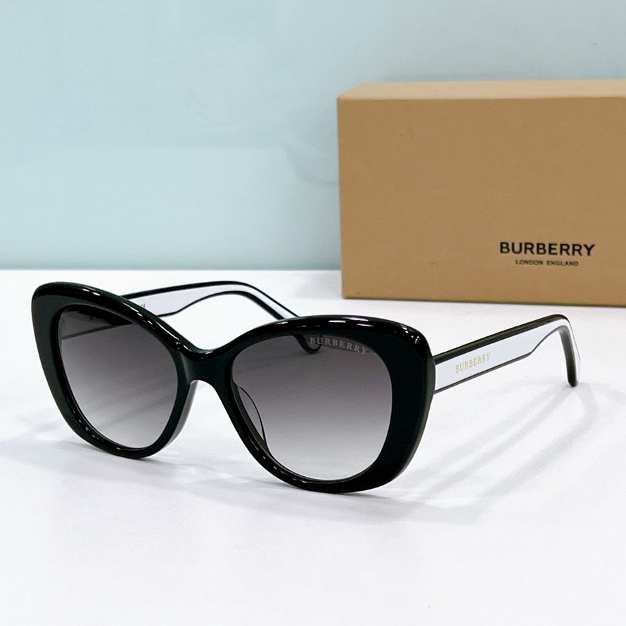 B**rry sunglasses(aaaa)-1054