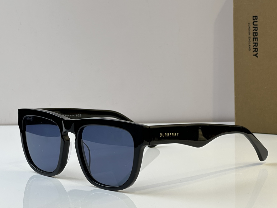 B**rry sunglasses(aaaa)-1021