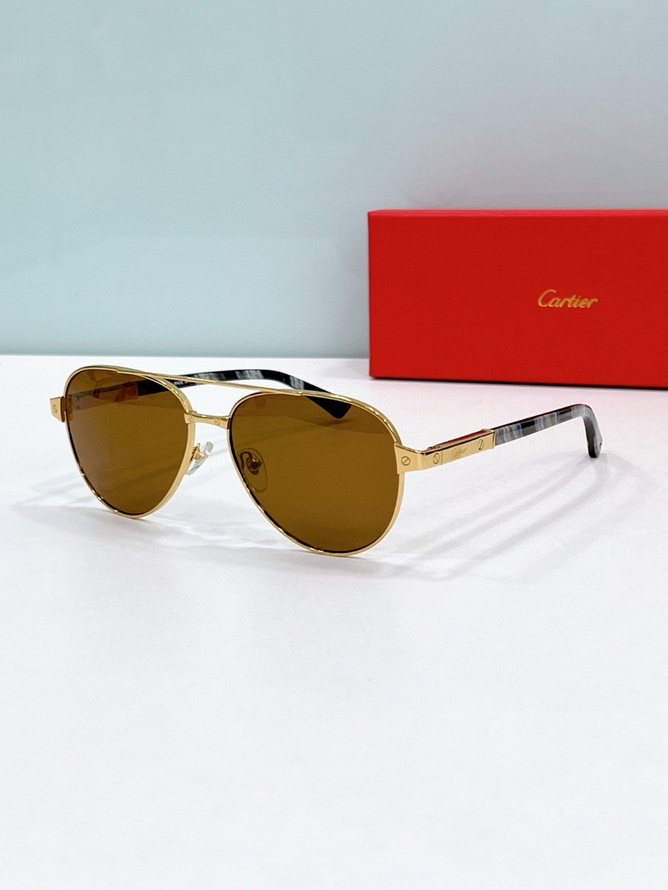 Ca*t*er sunglasses(aaaa)-1709