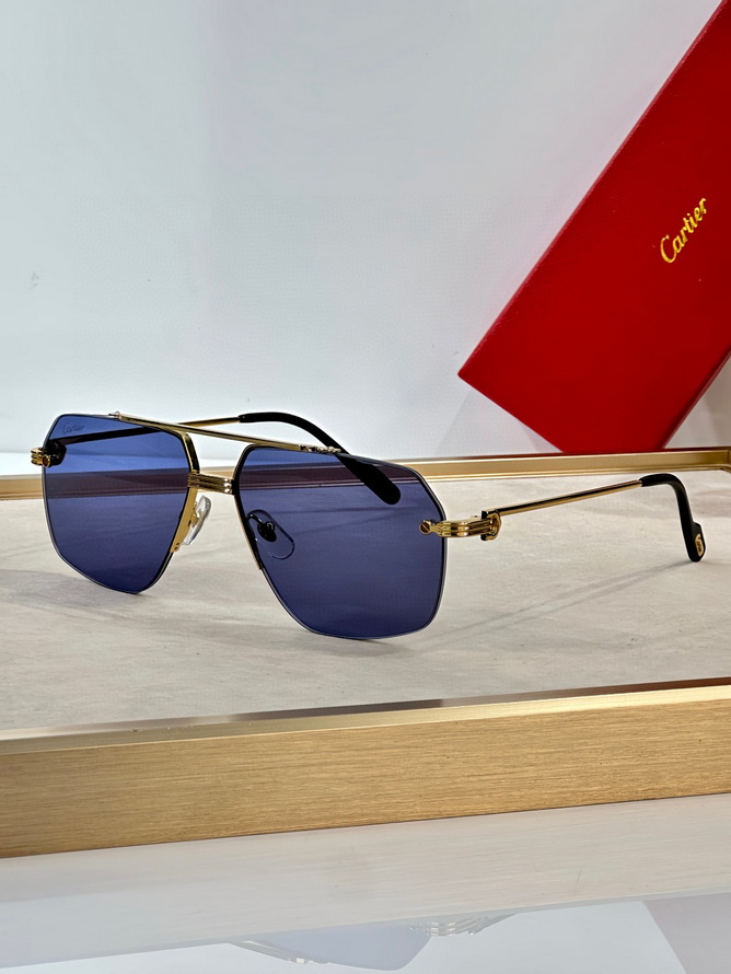 Ca*t*er sunglasses(aaaa)-1656