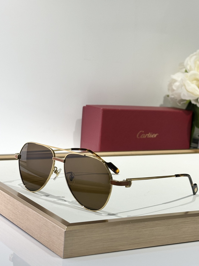 Ca*t*er sunglasses(aaaa)-1523