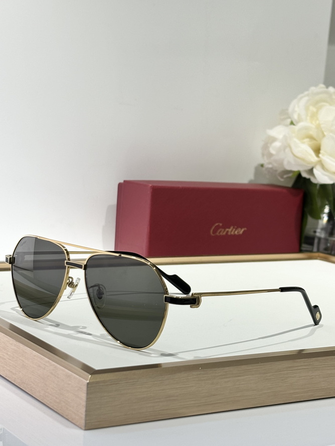 Ca*t*er sunglasses(aaaa)-1520