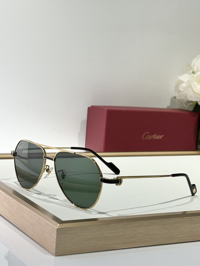 Ca*t*er sunglasses(aaaa)-1519