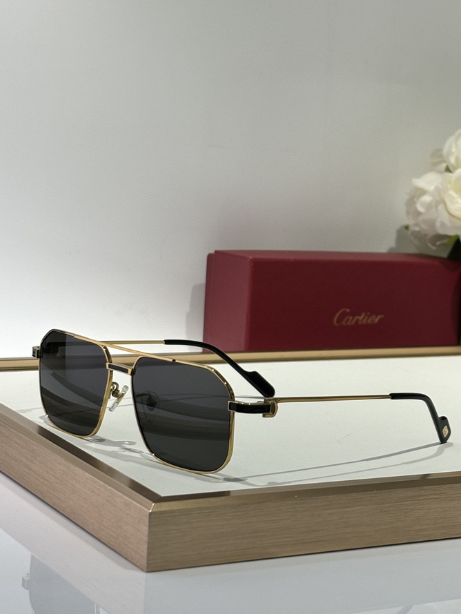 Ca*t*er sunglasses(aaaa)-1485