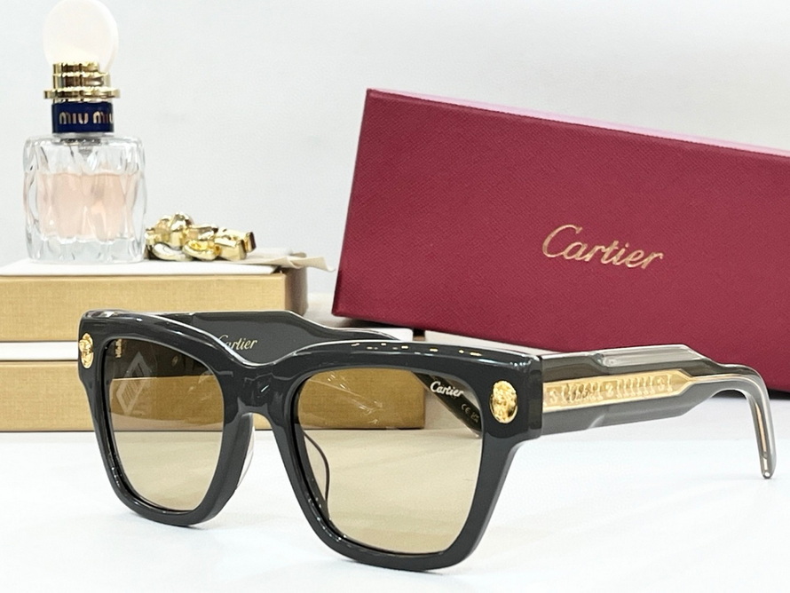 Ca*t*er sunglasses(aaaa)-1210