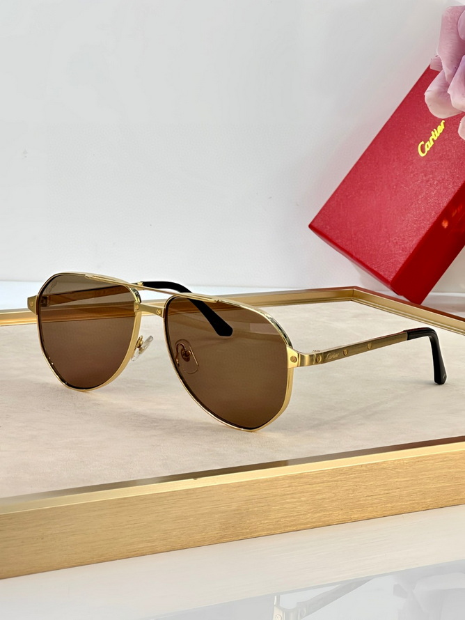 Ca*t*er sunglasses(aaaa)-670
