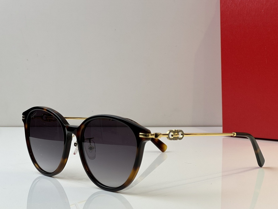 FERRAGAMO Sunglasses(AAAA)-318