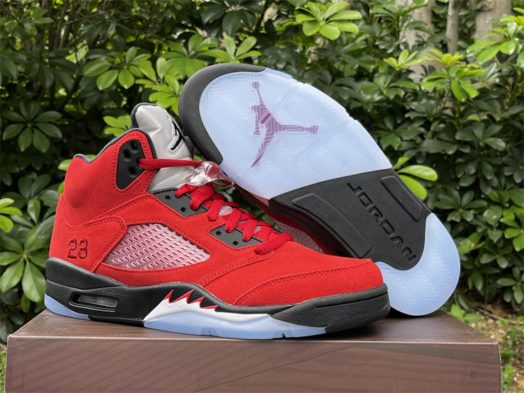 Air Jordan 5 Raging Bull