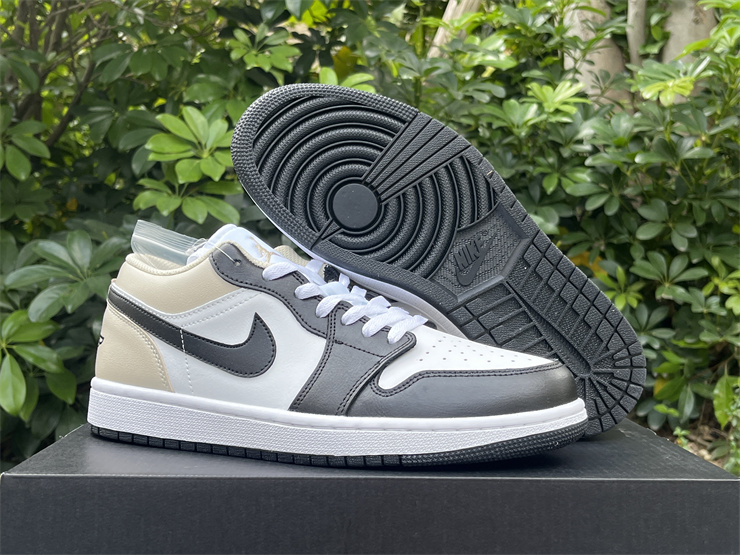 Air Jordan 1 Low-320