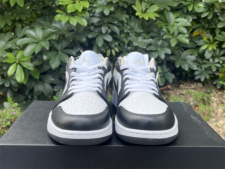 Air Jordan 1 Low-320