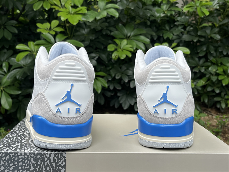 Air Jordan 3 Lucky Shorts