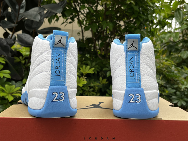 Air Jordan 12 Melo Blue