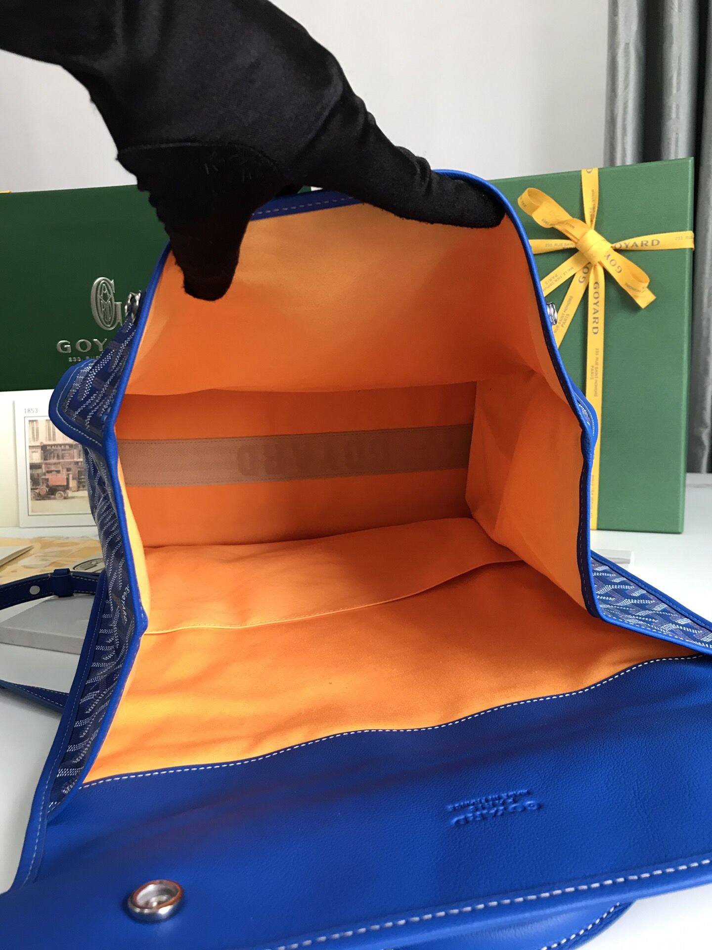 Goyard Backpack(AAA)-010