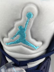 Air Jordan V Retro-015