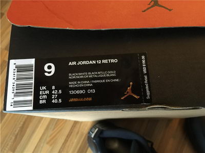 Air Jordan 12 The Master-006