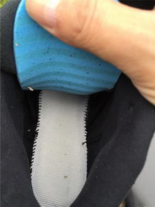 Air Jordan 12 The Master-006