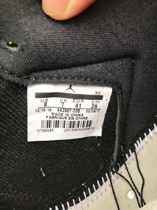 Air Jordan 1 “Wings“