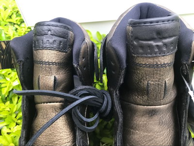 Air Jordan 1 “Wings“