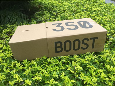 Authentic Adidas Yeezy 350 Boost V2 Beluga