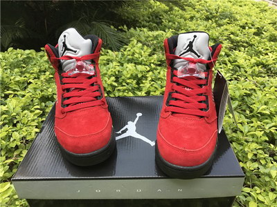 Air Jordan 5 Raging Bulls