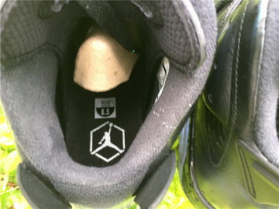 Air Jordan 6 Chameleon