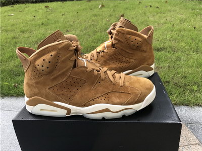 Air Jordan 6 “Golden Harvest”