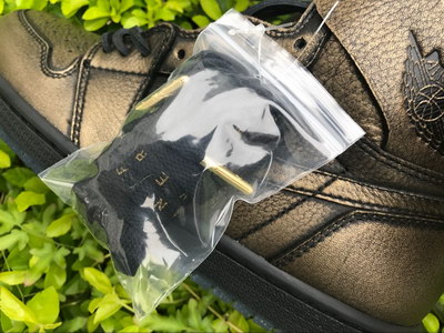 Air Jordan 1 “Wings“